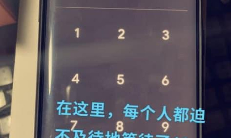 Alleged OnePlus 8 Pro spotted in the wild again (front)