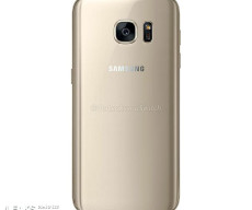 gold-gs7-back