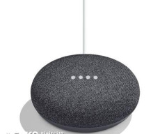 google-home-mini-charcoal