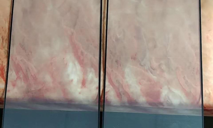 Samsung Galaxy S10 screen protector leaked this time shows a tiny bottom bezel