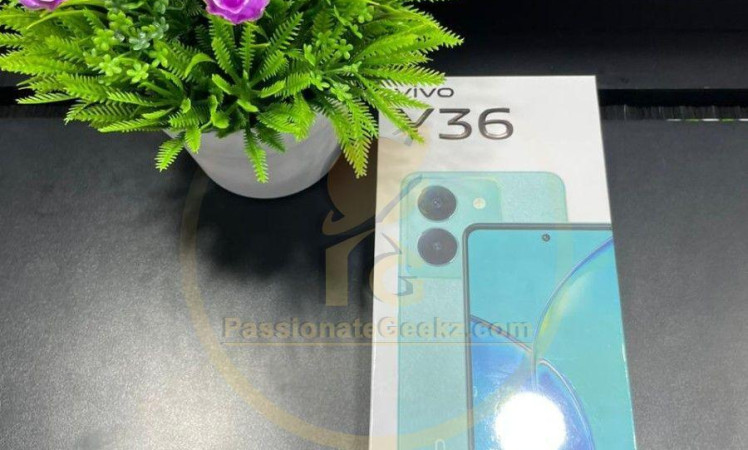 Vivo Y36 Live Images And Specs Leaks