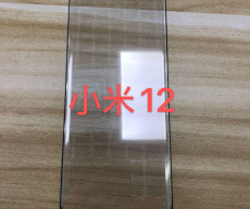 Xiaomi 12 Tempered Glass