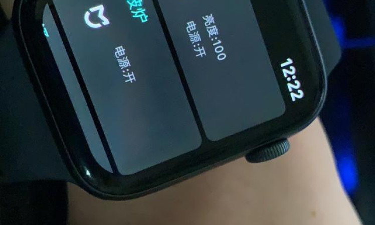 Xiaomi watch (real device)
